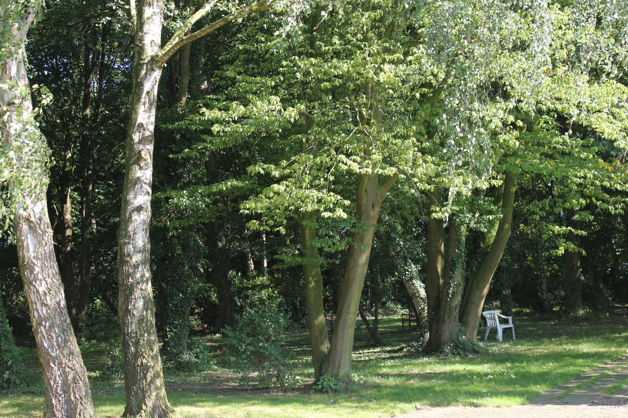 Hotel Pension Haus Stork Holzhausen  Buitenkant foto